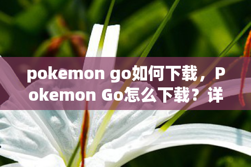 pokemon go如何下载，Pokemon Go怎么下载？详细教程助你轻松畅玩！