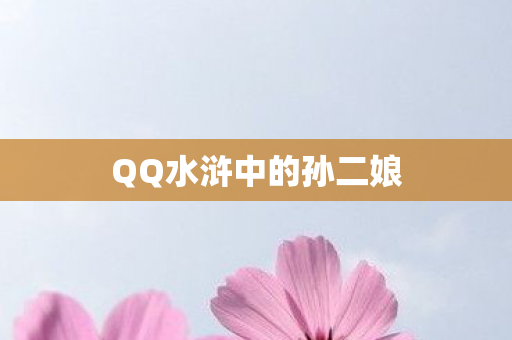 QQ水浒中的孙二娘