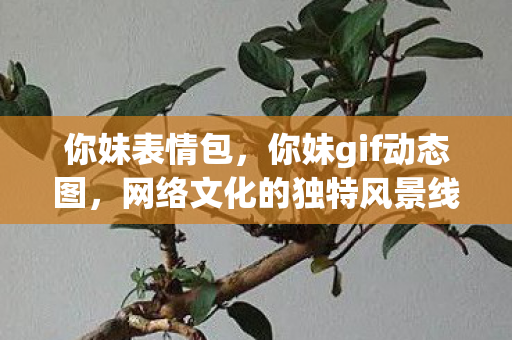 你妹表情包，你妹gif动态图，网络文化的独特风景线