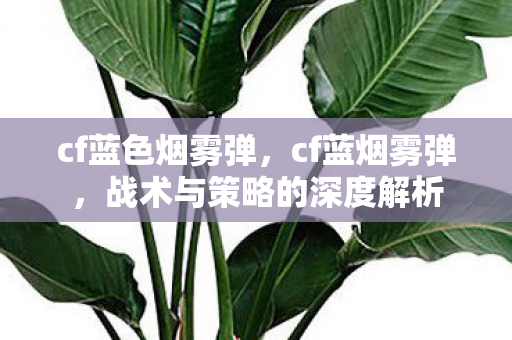 cf蓝色烟雾弹，cf蓝烟雾弹，战术与策略的深度解析