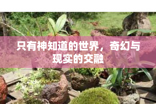 只有神知道的世界，奇幻与现实的交融