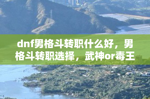 dnf男格斗转职什么好,男格斗转职选择,武神or毒王? dnf男格斗转职什么好,男格斗转职选择,武神or毒王?
