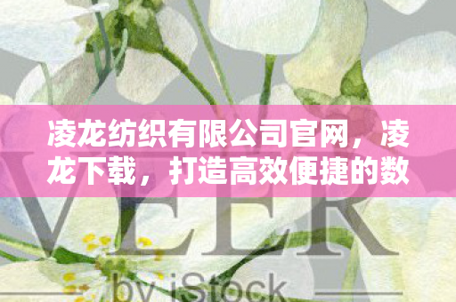 凌龙纺织有限公司官网，凌龙下载，打造高效便捷的数字资源获取平台