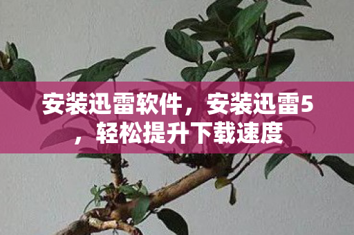 安装迅雷软件，安装迅雷5，轻松提升下载速度