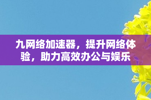九网络加速器，提升网络体验，助力高效办公与娱乐