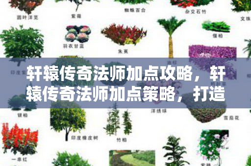 轩辕传奇法师加点攻略，轩辕传奇法师加点策略，打造高效战斗法师