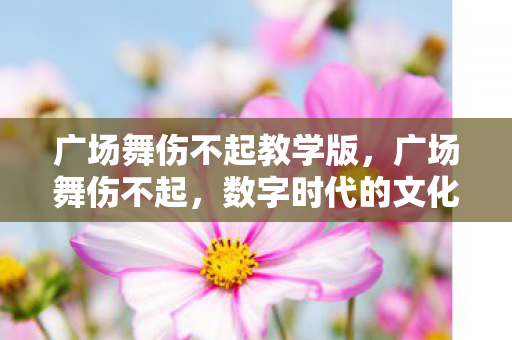 广场舞伤不起教学版，广场舞伤不起，数字时代的文化冲突与解决之道