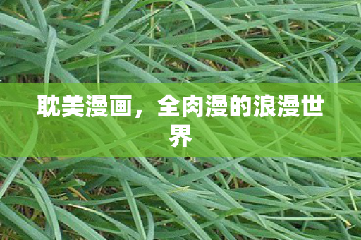 耽美漫画，全肉漫的浪漫世界