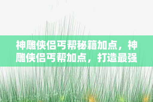 神雕侠侣丐帮秘籍加点，神雕侠侣丐帮加点，打造最强丐帮攻略