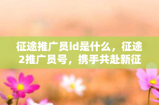 征途推广员id是什么，征途2推广员号，携手共赴新征途，畅享无限可能