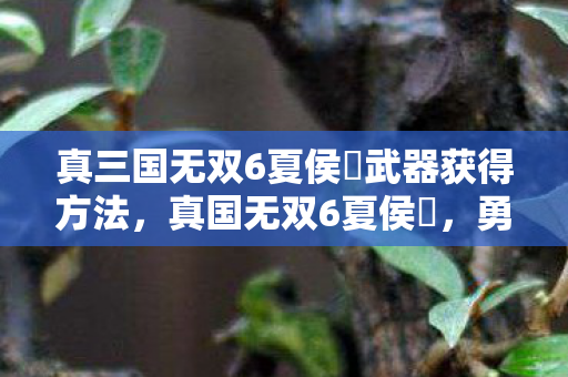 真三国无双6夏侯惇武器获得方法，真国无双6夏侯惇，勇武与智谋并重的三国豪杰