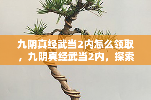 九阴真经武当2内怎么领取，九阴真经武当2内，探索武侠世界的内功奥秘