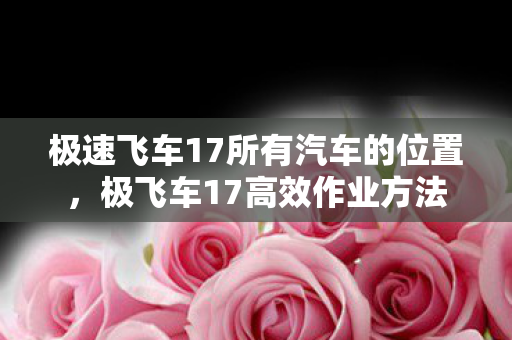 极速飞车17所有汽车的位置，极飞车17高效作业方法