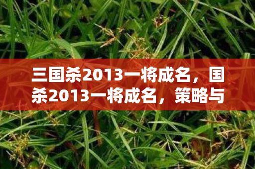 三国杀2013一将成名，国杀2013一将成名，策略与智慧的碰撞