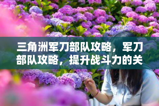 三角洲军刀部队攻略，军刀部队攻略，提升战斗力的关键策略