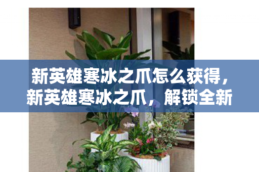 新英雄寒冰之爪怎么获得，新英雄寒冰之爪，解锁全新战斗体验