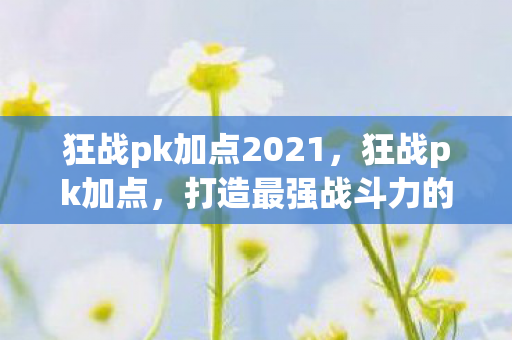 狂战pk加点2021，狂战pk加点，打造最强战斗力的加点策略