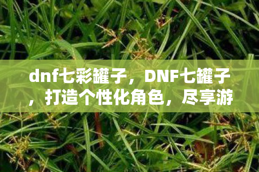 dnf七彩罐子，DNF七罐子，打造个性化角色，尽享游戏乐趣