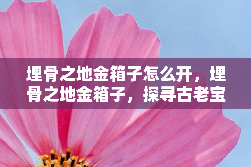 埋骨之地金箱子怎么开，埋骨之地金箱子，探寻古老宝藏的传奇之旅