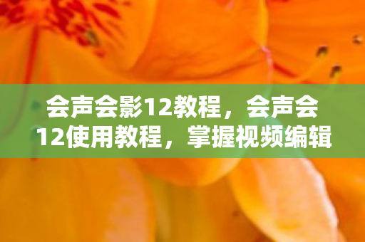 会声会影12教程，会声会12使用教程，掌握视频编辑的利器