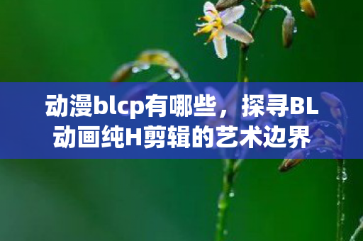 动漫blcp有哪些，探寻BL动画纯H剪辑的艺术边界