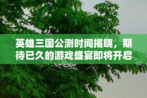 英雄三国公测时间揭晓，期待已久的游戏盛宴即将开启！
