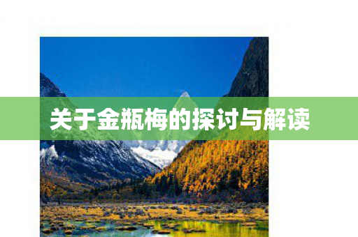 关于金瓶梅的探讨与解读