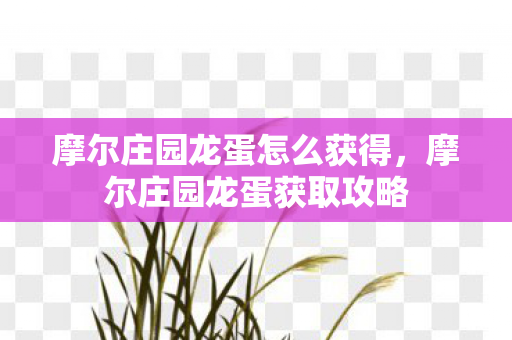 摩尔庄园龙蛋怎么获得，摩尔庄园龙蛋获取攻略