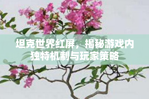 坦克世界红屏，揭秘游戏内独特机制与玩家策略