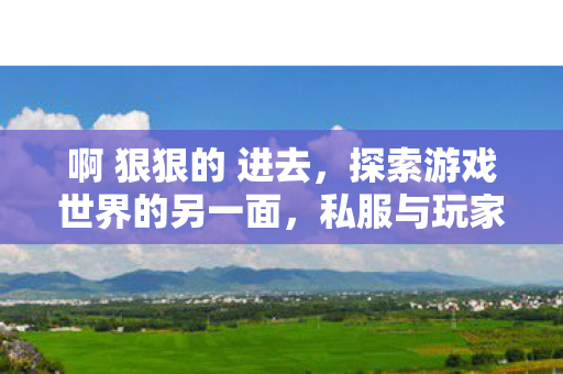 啊 狠狠的 进去，探索游戏世界的另一面，私服与玩家的独特互动