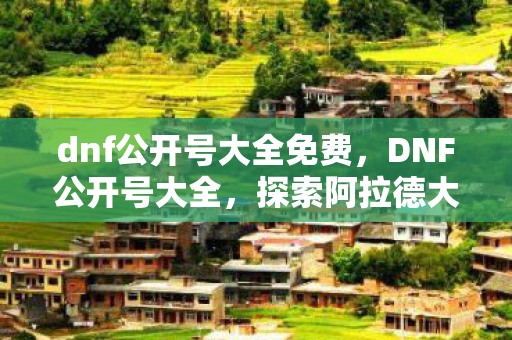 dnf公开号大全免费，DNF公开号大全，探索阿拉德大陆的勇士之旅