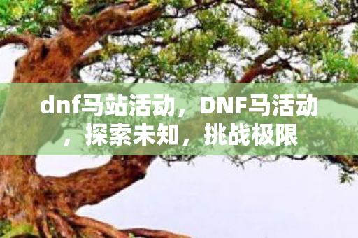 dnf马站活动，DNF马活动，探索未知，挑战极限