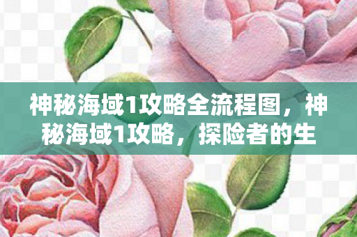 神秘海域1攻略全流程图，神秘海域1攻略，探险者的生存指南