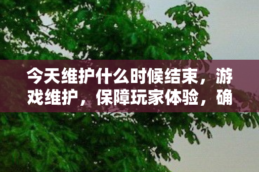 今天维护什么时候结束，游戏维护，保障玩家体验，确保服务器稳定