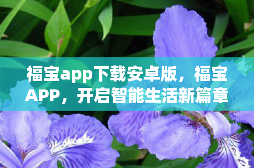 福宝app下载安卓版，福宝APP，开启智能生活新篇章
