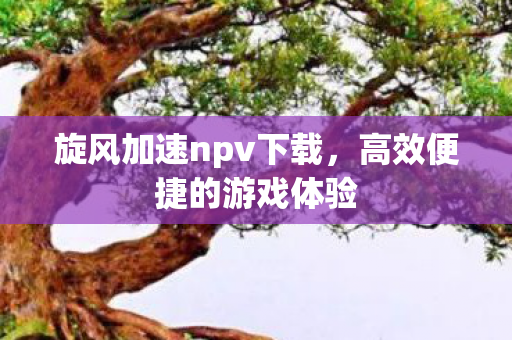 旋风加速npv下载，高效便捷的游戏体验