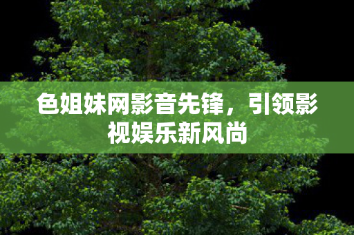 色姐妹网影音先锋，引领影视娱乐新风尚
