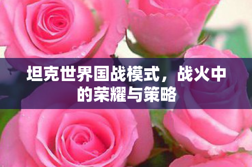 坦克世界国战模式，战火中的荣耀与策略