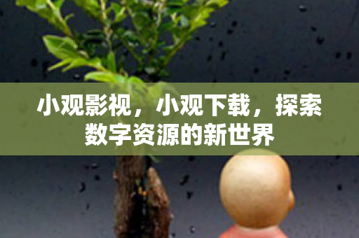 小观影视，小观下载，探索数字资源的新世界