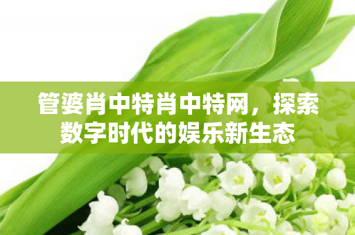 管婆肖中特肖中特网，探索数字时代的娱乐新生态