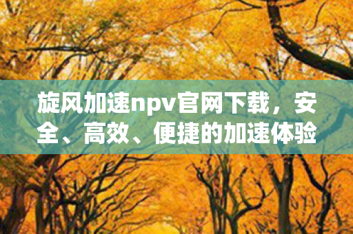 旋风加速npv官网下载，安全、高效、便捷的加速体验