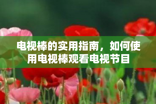 电视棒的实用指南，如何使用电视棒观看电视节目