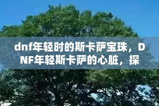 dnf年轻时的斯卡萨宝珠，DNF年轻斯卡萨的心脏，探索与征服的传奇
