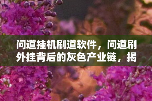 问道挂机刷道软件，问道刷外挂背后的灰色产业链，揭秘游戏外挂的非法交易