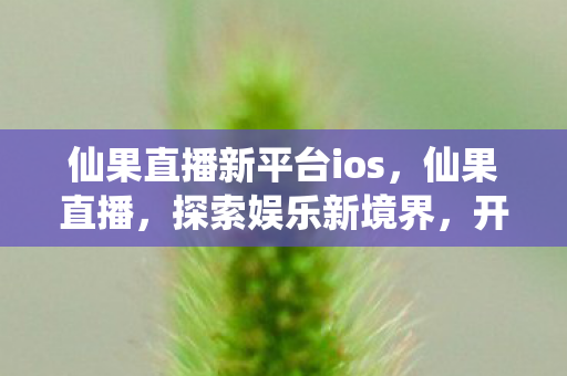 仙果直播新平台ios，仙果直播，探索娱乐新境界，开启直播新篇章