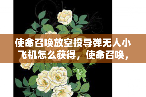 使命召唤放空投导弹无人小飞机怎么获得，使命召唤，放飞空投导弹无人小飞机