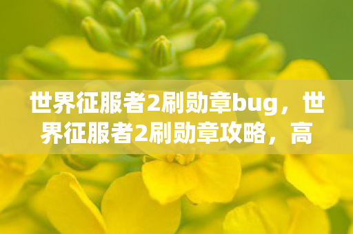世界征服者2刷勋章bug，世界征服者2刷勋章攻略，高效获取荣耀徽章的实战指南