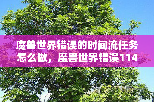 魔兽世界错误的时间流任务怎么做，魔兽世界错误114，深度解析与解决方案