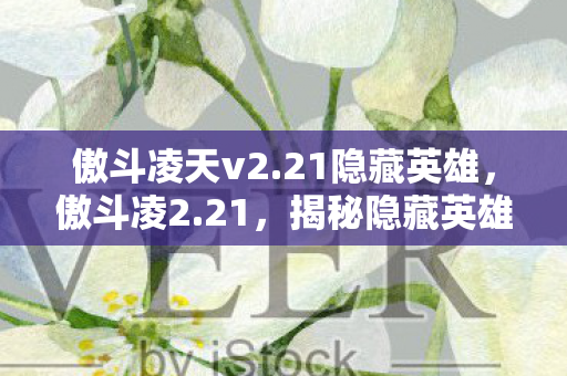 傲斗凌天v2.21隐藏英雄，傲斗凌2.21，揭秘隐藏英雄的不凡之旅