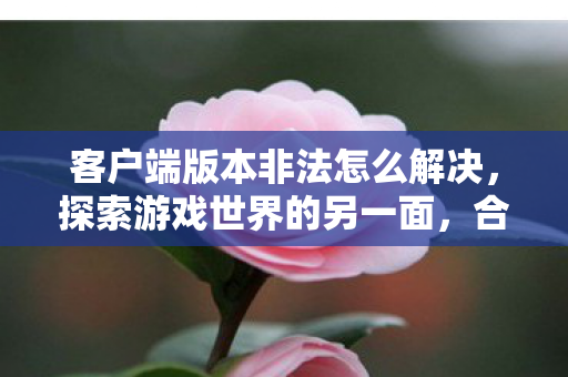 客户端版本非法怎么解决，探索游戏世界的另一面，合法合规的客户端版本选择